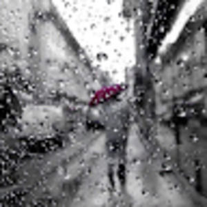 Meet your Posher, Oonagh!